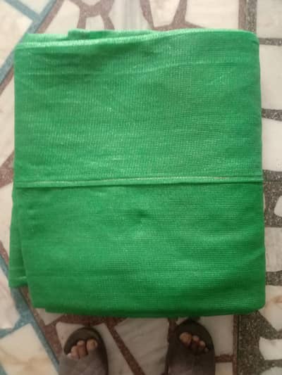 Green Net