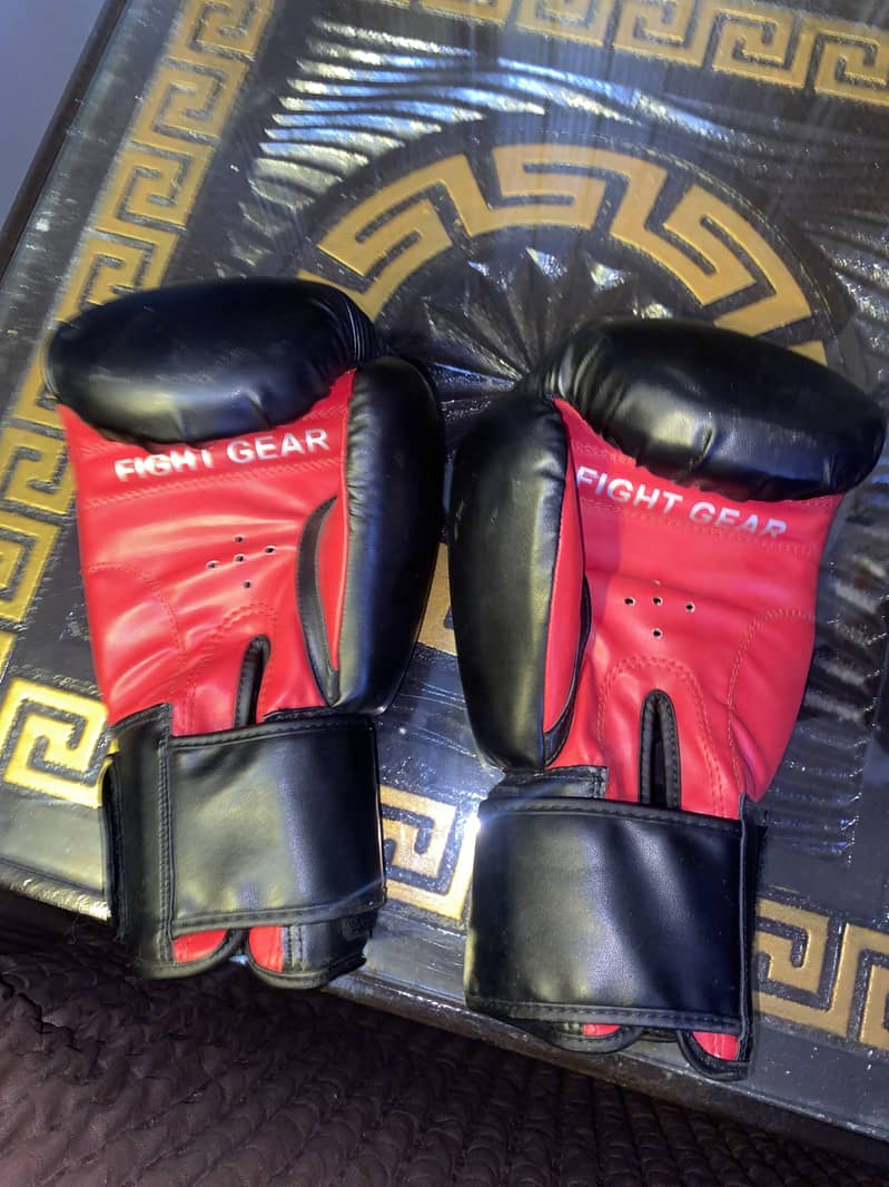 Boxing gloves 1