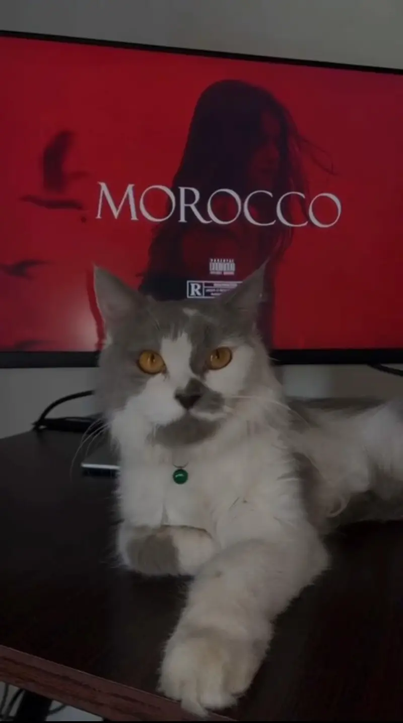 Persian female — photo 3