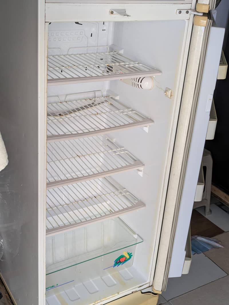 PEL FRIDGE 1
