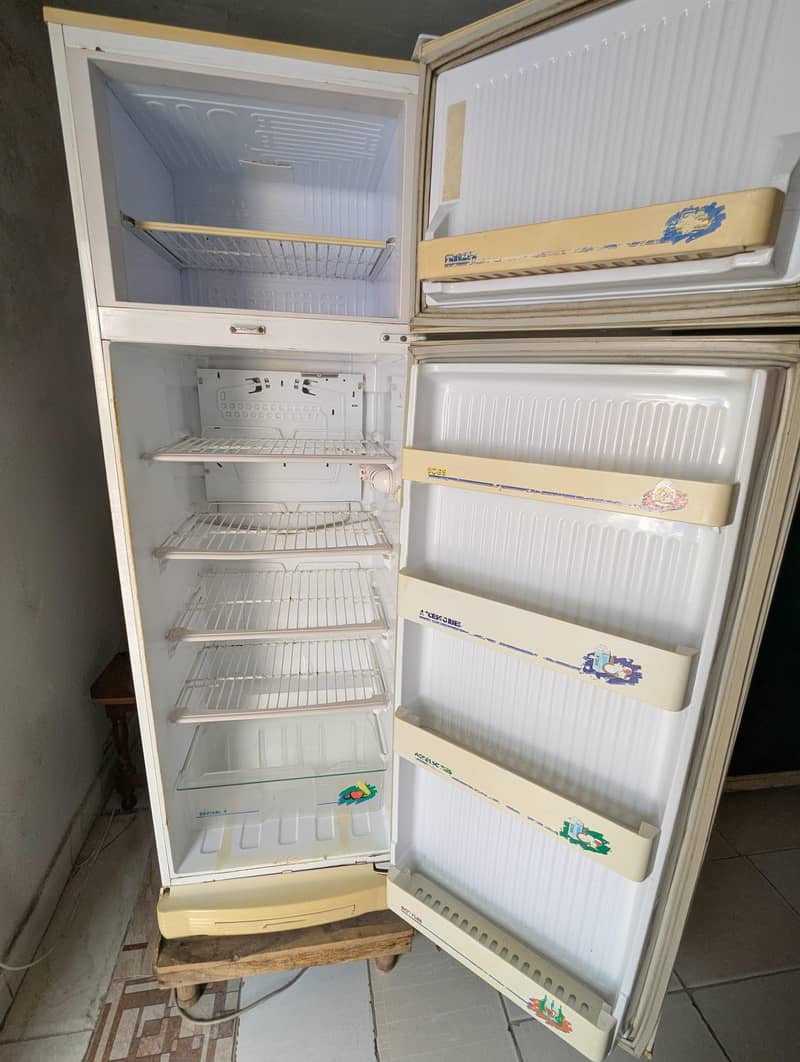 PEL FRIDGE 6