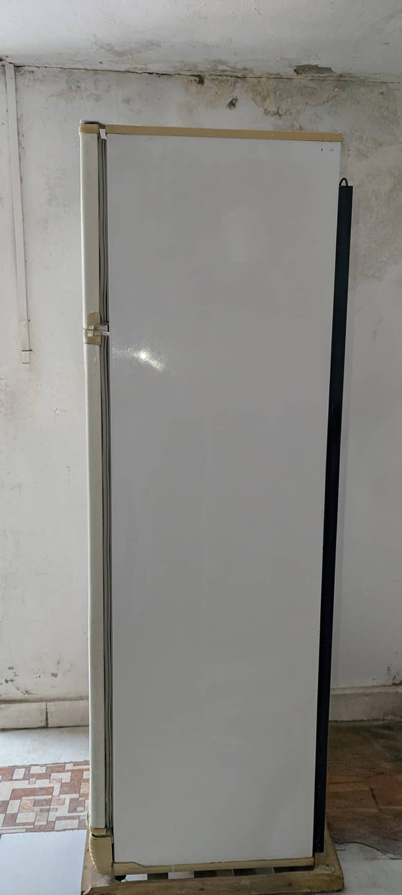 PEL FRIDGE 8