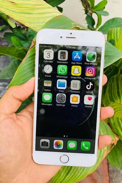 iPhone 6 Plus ( 0326/4215/688 )