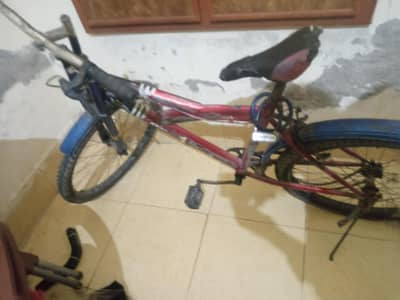 bicycles(03214109800)