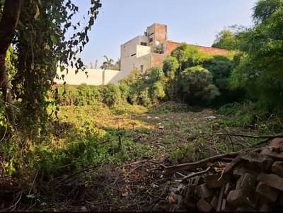 1 Kanal Plot For Sale In Model Town