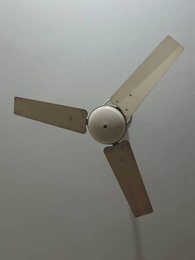 Fans Sale