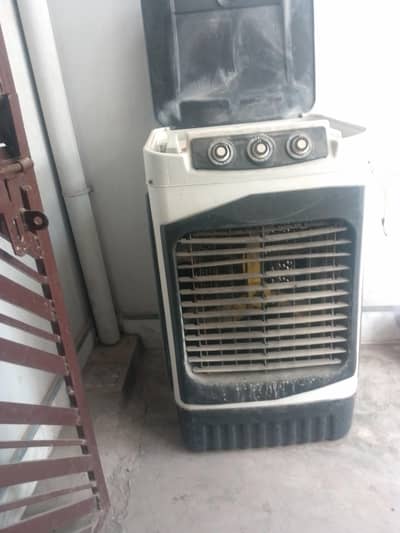 12 volt cooler for sale