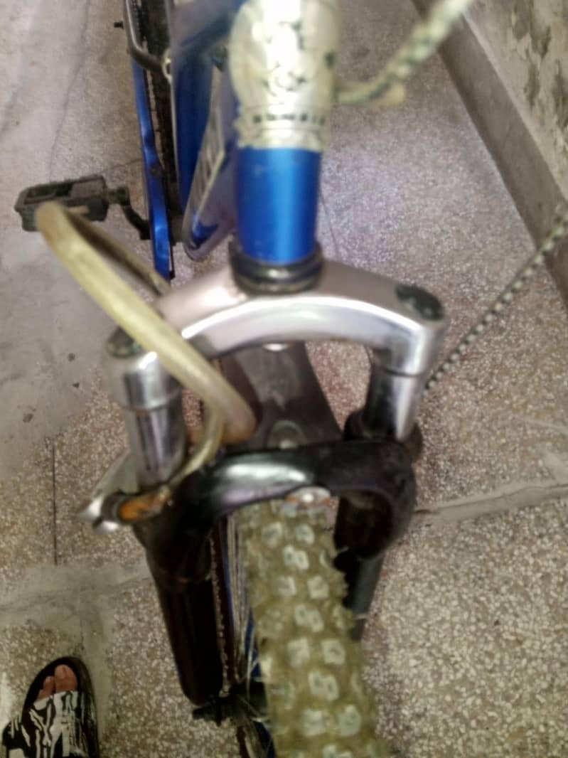 humber cycle 2