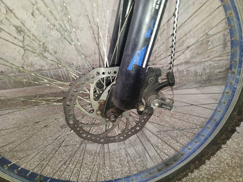 humber cycle 8