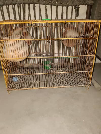 animal cage