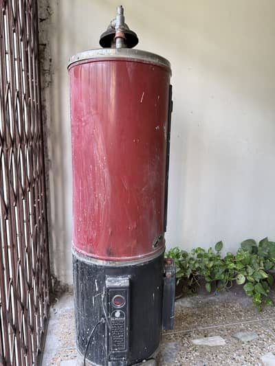 Fischer Geyser gas and electricity