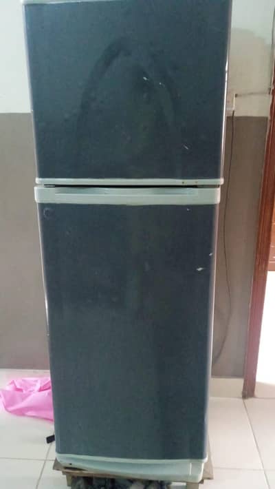 small for five family member
