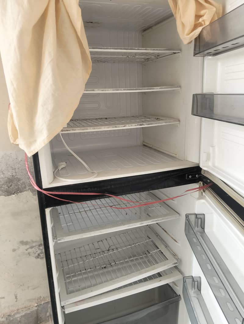 fridge 1