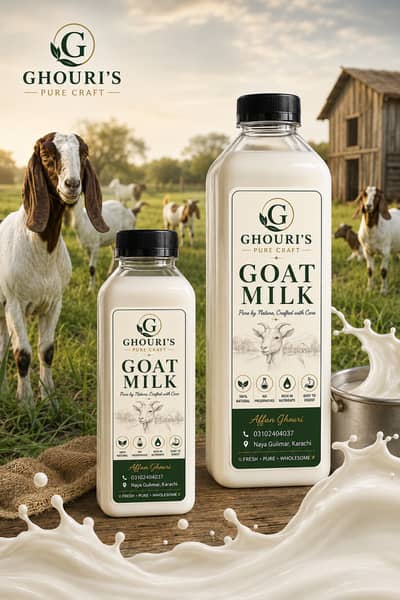 FRESH GOAT MILK | Pure Goat Milk | Healthy Goats | Milk For sale