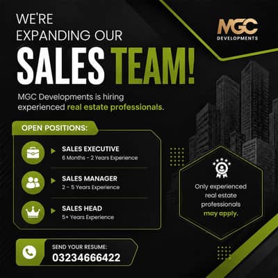 Sales manager, sales agents /executive