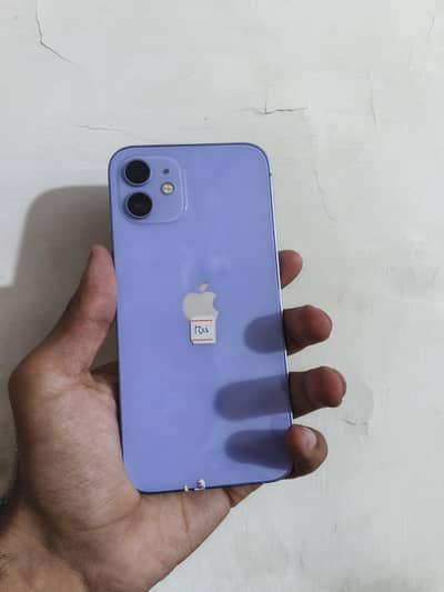 Apple iPhone 12