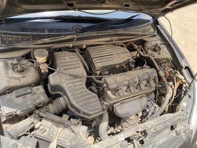 Honda Civic Prosmetic 2005