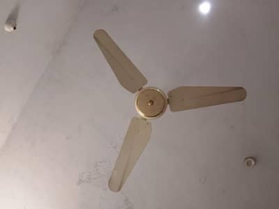 for sale