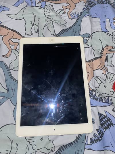 iPad Air 2