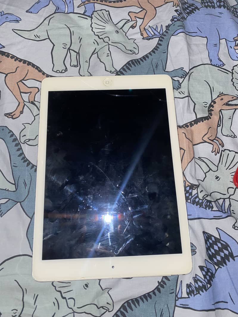 iPad Air 2 0