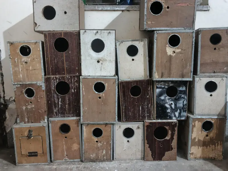 Wooden breeding boxes for birds