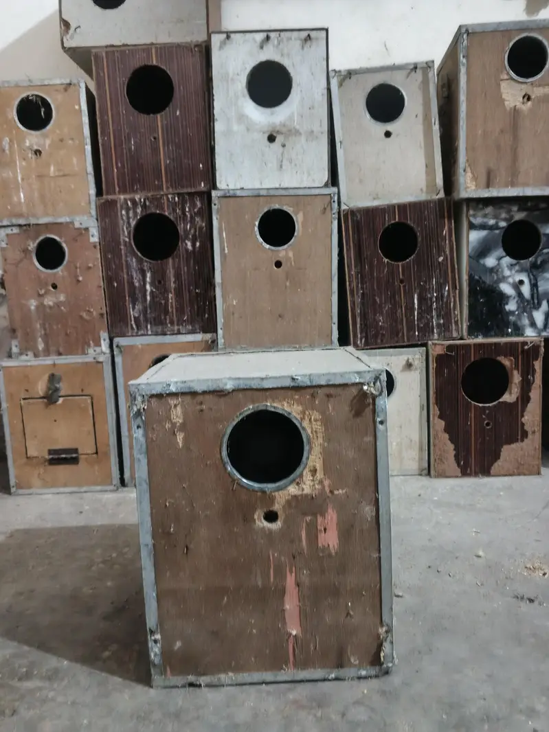 Wooden breeding boxes for birds — photo 2