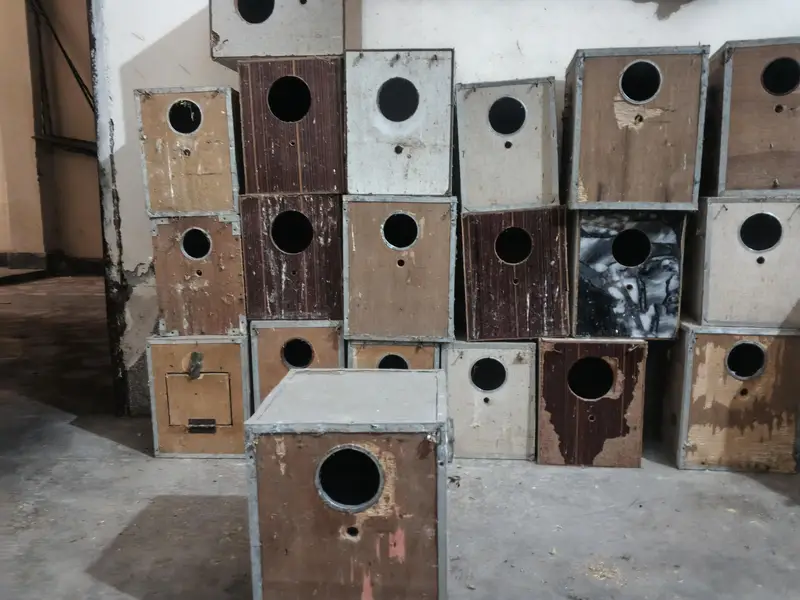 Wooden breeding boxes for birds — photo 3