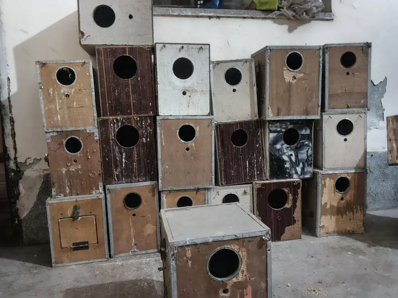 Wooden breeding boxes for birds — photo 4