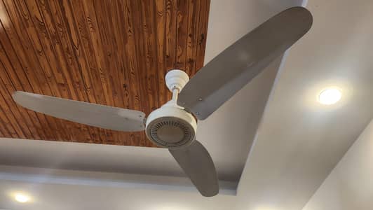 2 Sufi Fans For Sale 6000 each