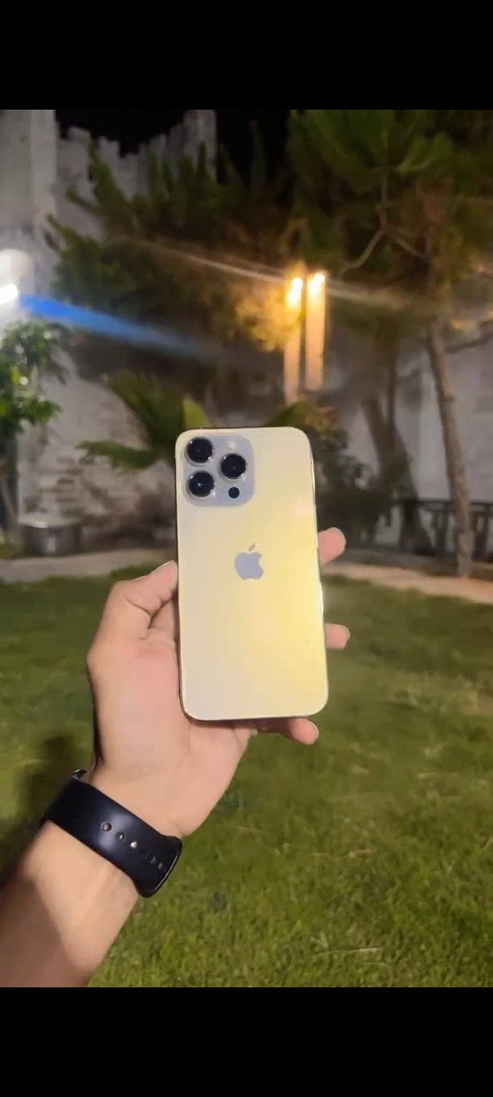 Apple 13 pro 1