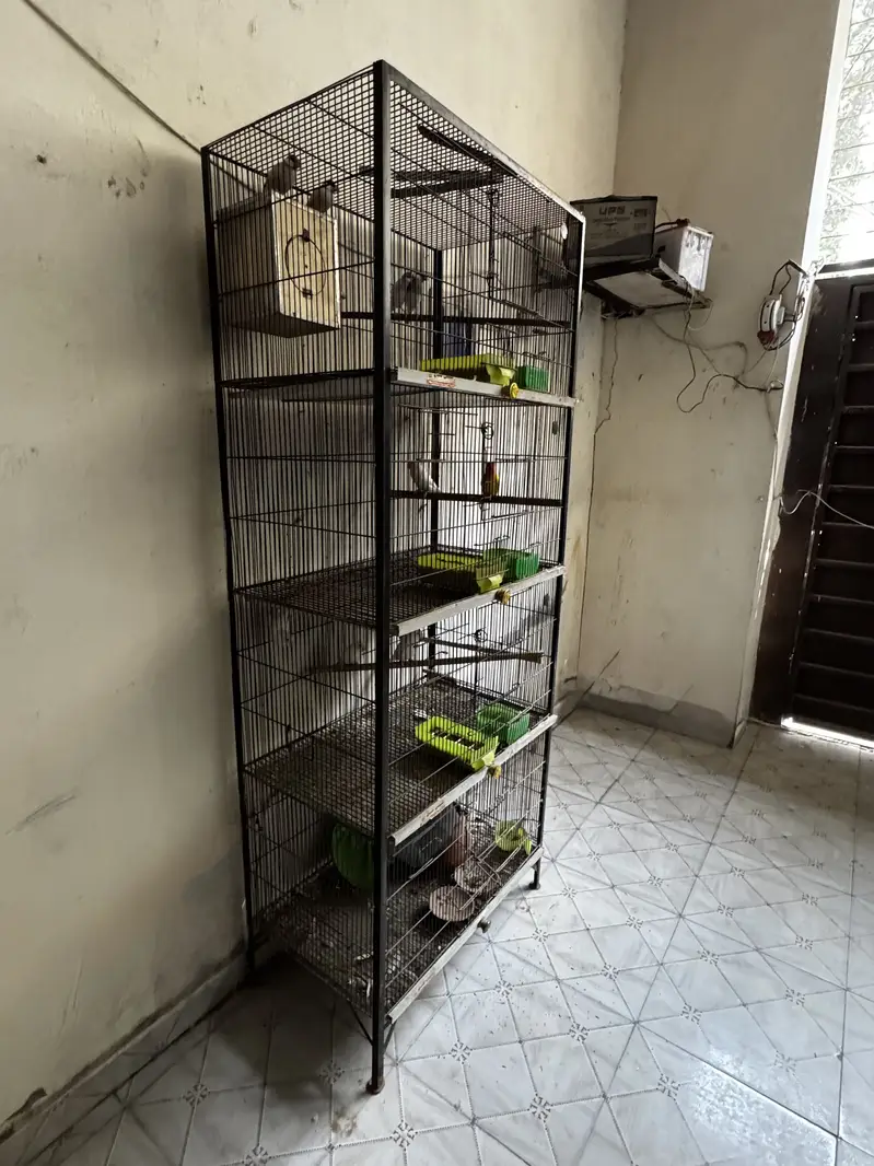 Cage for sale