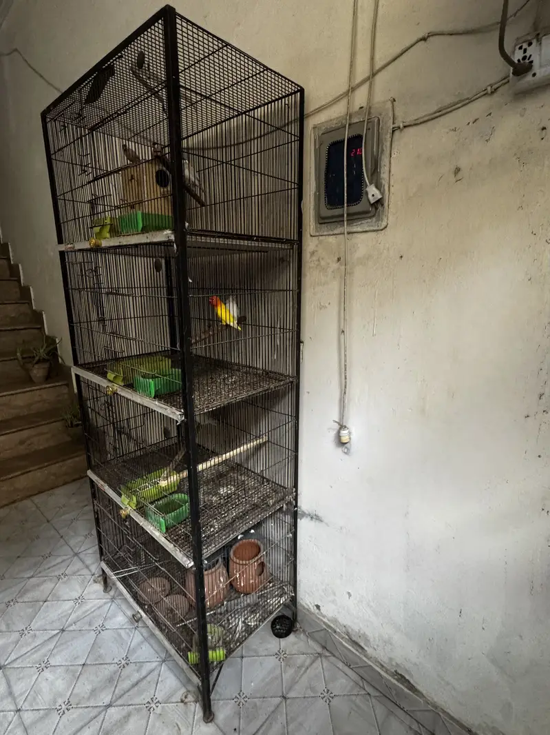 Cage for sale — photo 2