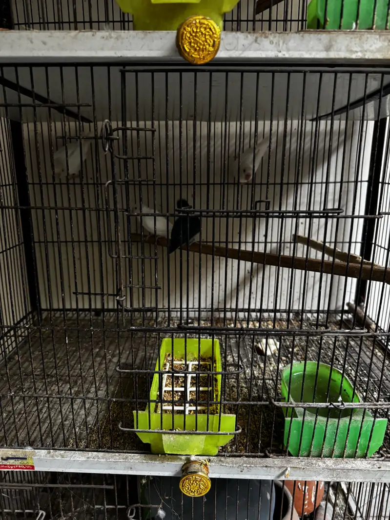 Cage for sale — photo 3
