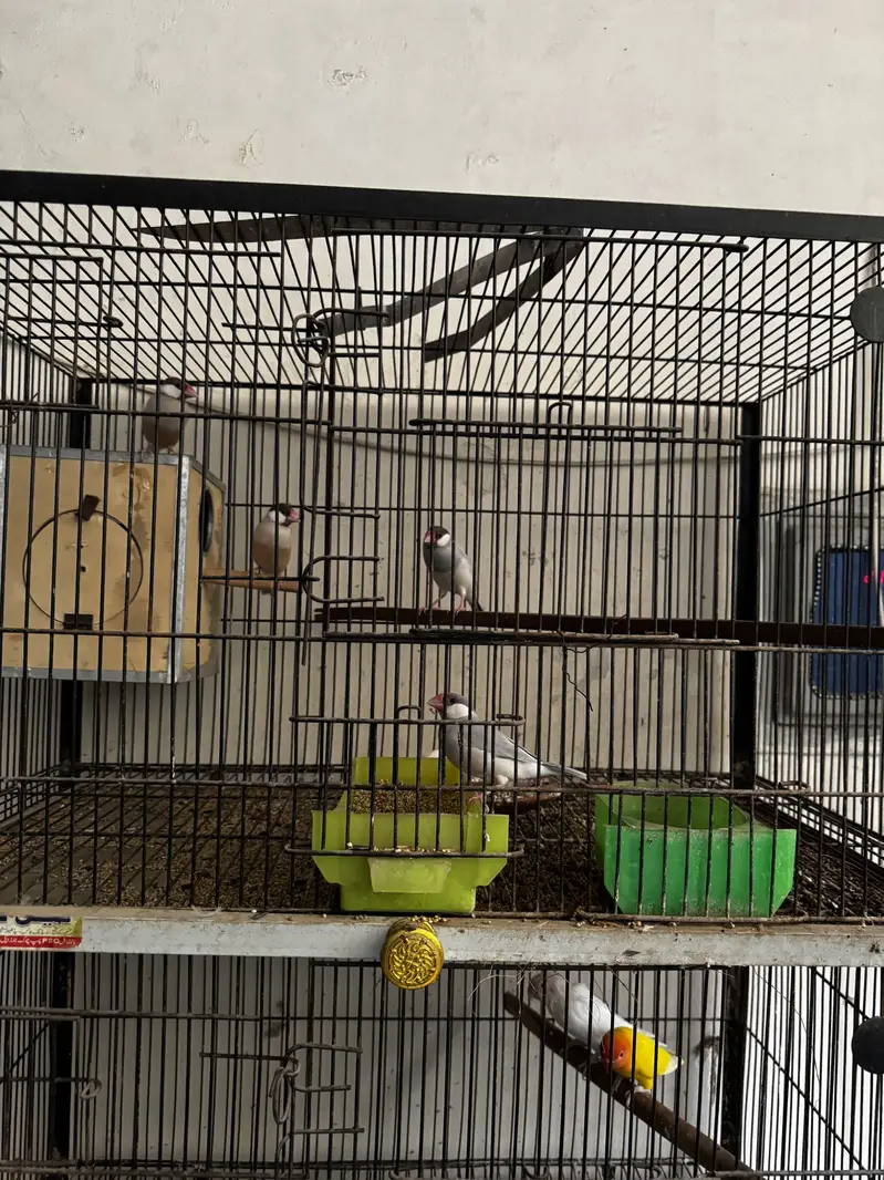 Cage for sale — photo 5