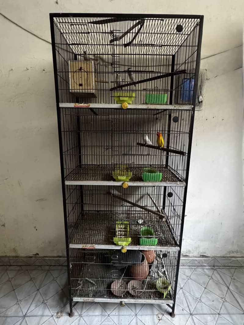 Cage, grey java pair 5