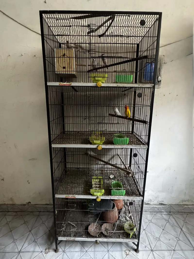 Cage for sale — photo 6