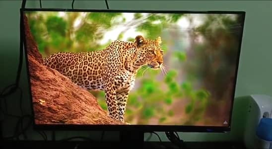 24" Samsung Borderless Gaming Monitor (Full HD - 75hz - AMD Freesync)