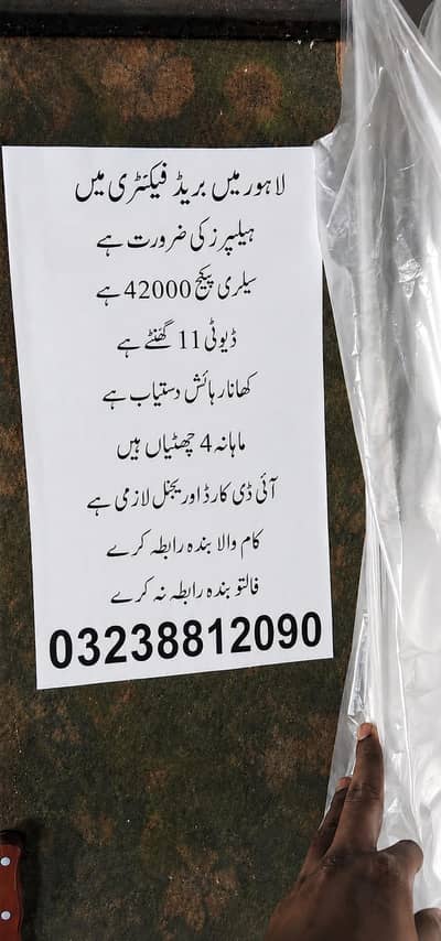 Bread Factory In Lahore
