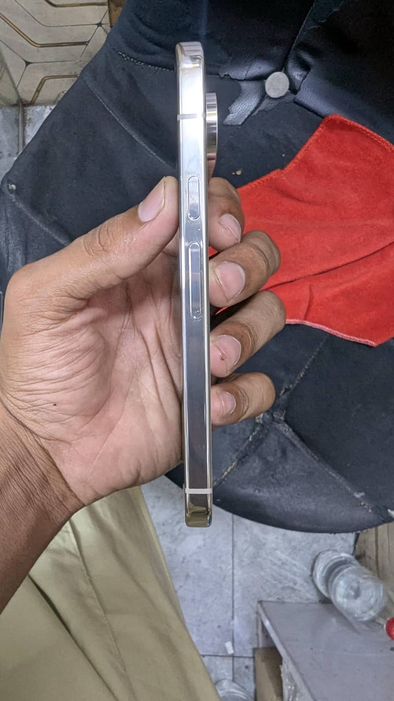 Google Pixel 9 Pro 1