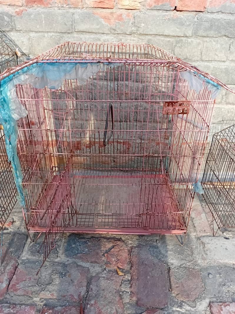 Cages 3