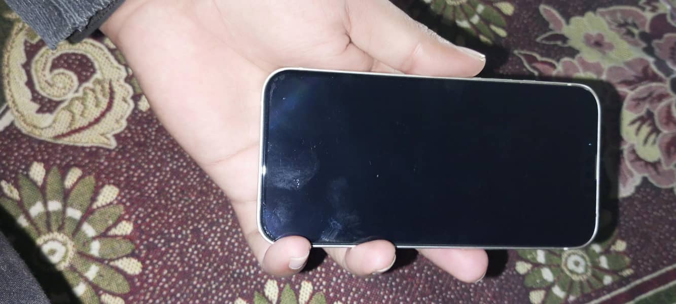 Apple iPhone 13 5