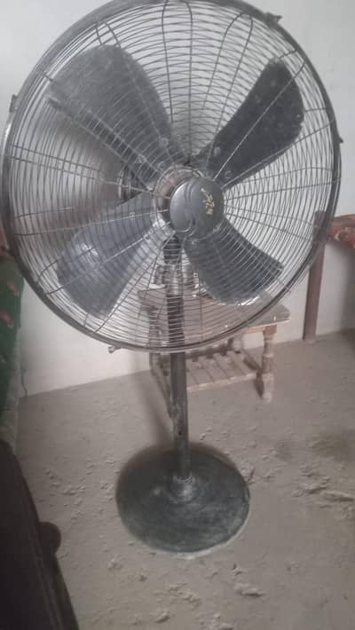 pedistal fan