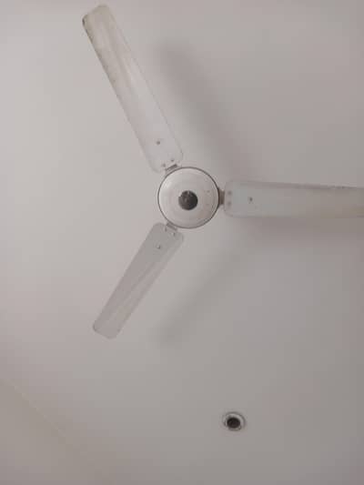 GFC CEILING FAN FOR SALE IN GOOD PRICE