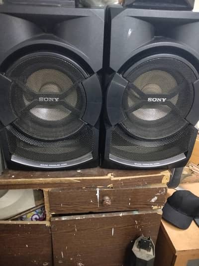 Sony 12 Inch Shake Speaker