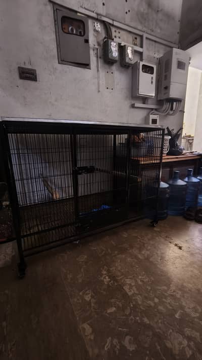Cage | Hens Cage | Cat Cage | Dogs Cage | Birds Cage | Pet Iron Cage