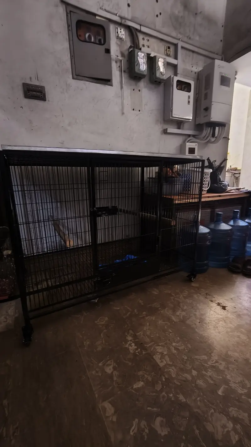 Cage | Hens Cage | Cat Cage | Dogs Cage | Birds Cage | Pet Iron Cage