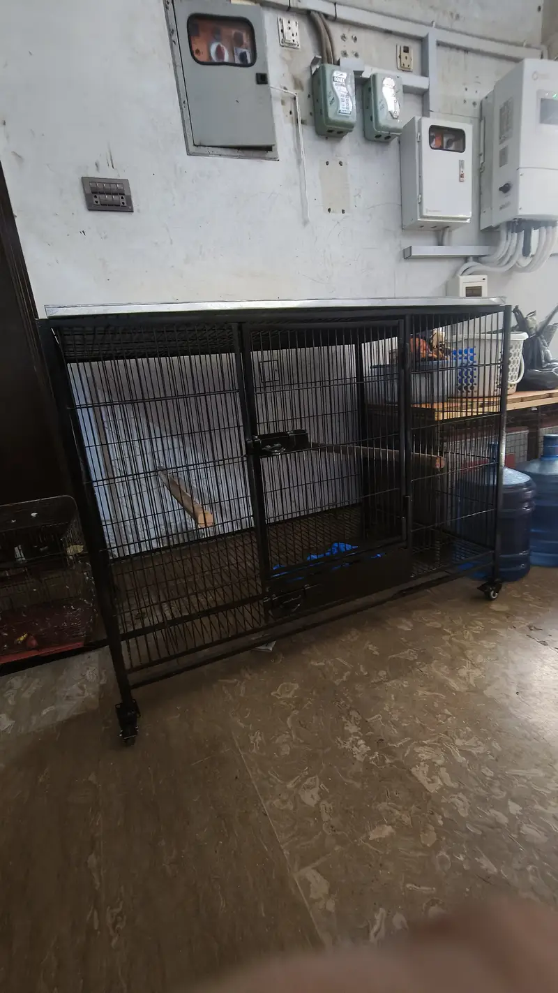 Cage | Hens Cage | Cat Cage | Dogs Cage | Birds Cage | Pet Iron Cage — photo 2