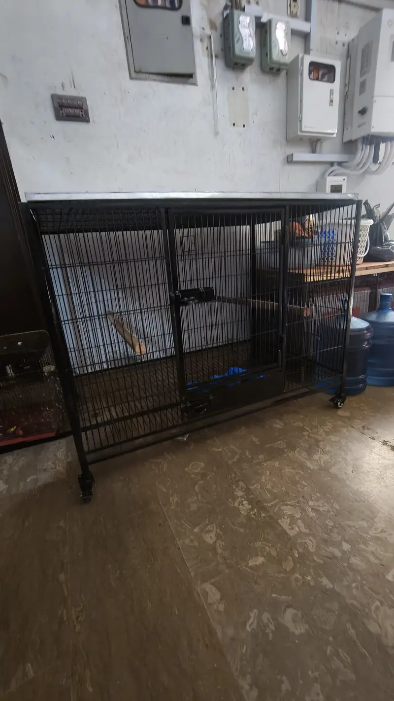 Cage | Hens Cage | Cat Cage | Dogs Cage | Birds Cage | Pet Iron Cage — photo 3
