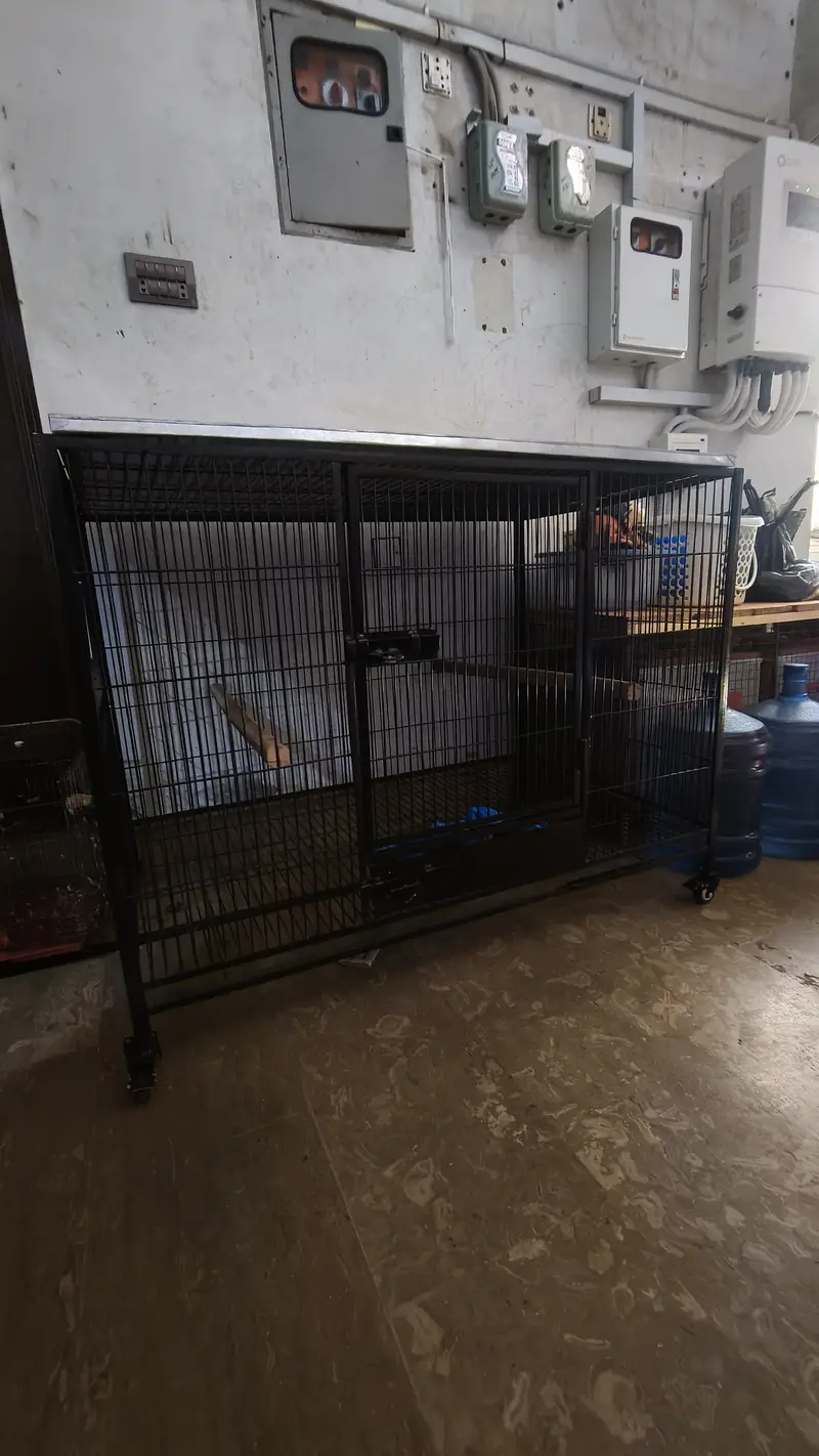 Cage | Hens Cage | Cat Cage | Dogs Cage | Birds Cage | Pet Iron Cage — photo 4