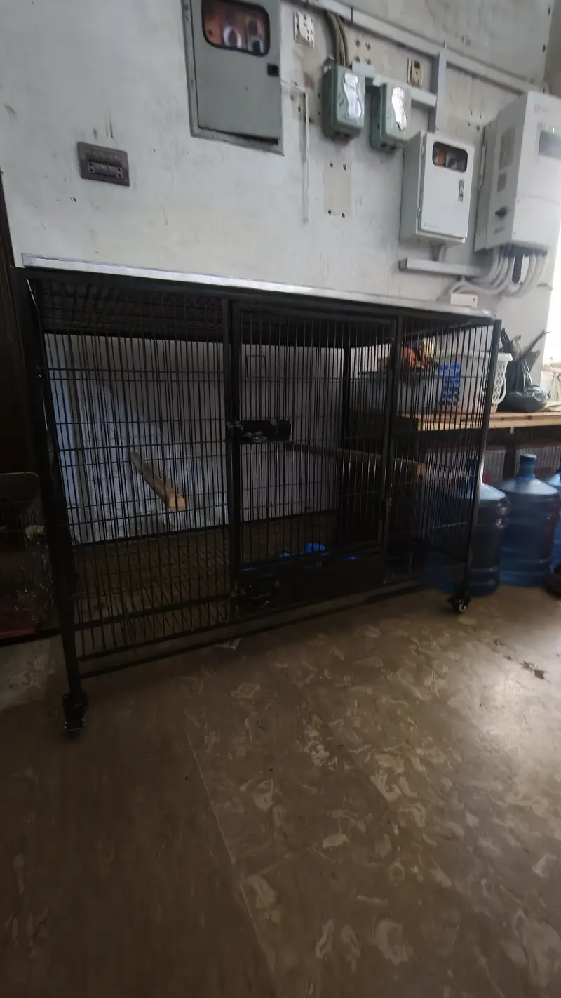 Cage | Hens Cage | Cat Cage | Dogs Cage | Birds Cage | Pet Iron Cage — photo 5